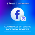 The Power of Facebook Page Ratings: Igniting Sales and Fostering Business Growth